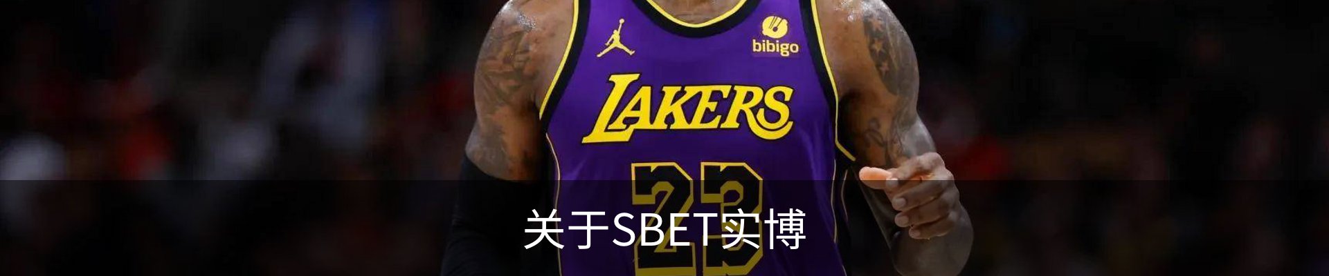 关于SBET实博