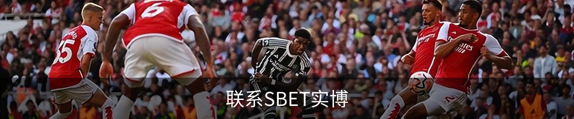 联系SBET实博